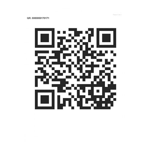 10000400471-2