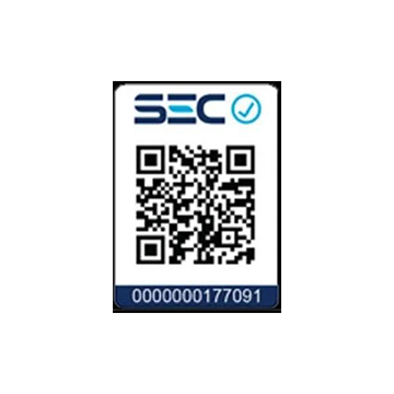 5000400289-2