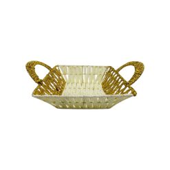 Panera Plastica 22x22 cms